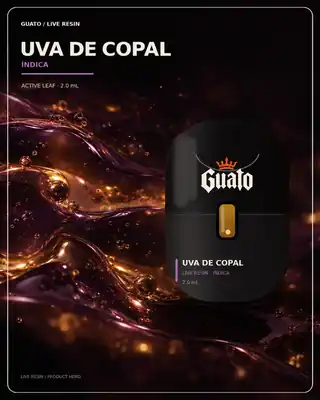 Uva de Copal